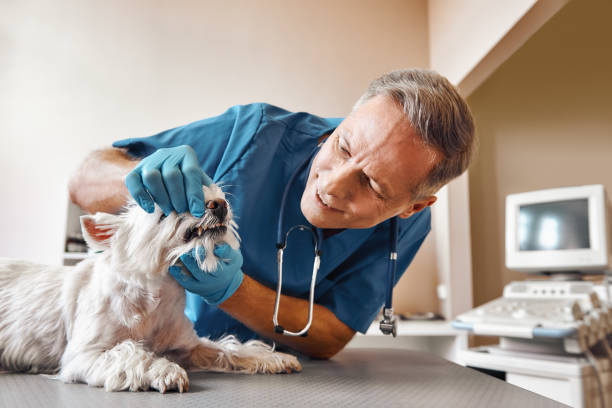 Best Emergency Root Canal Treatment in Norwood, PA